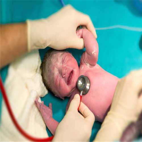 试管婴儿胚胎移植数越多成功率就越高吗，是真的吗？