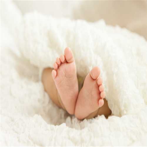 卵巢功能影响试管婴儿 如何提高卵巢功能？
